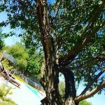 Panzió Abbraccio Del Carrubo 4*
