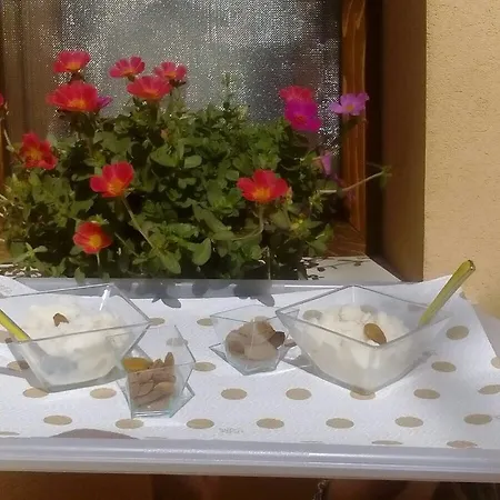Abbraccio Del Carrubo * Scicli